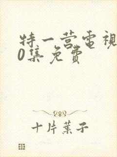 特一营电视剧40集免费封面