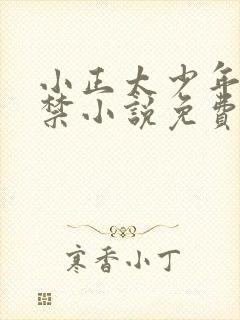 小正太少年被囚禁小说免费阅读全文