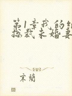 第1章我的绝色总裁未婚妻