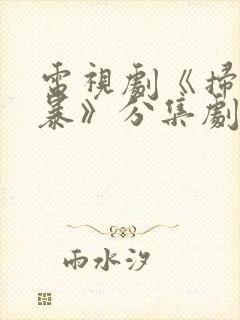 电视剧《扫毒风暴》分集剧情
