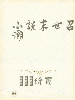 小说末世召唤狂潮