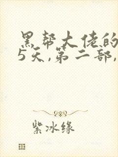 黑帮大佬的365天,第二部,第三