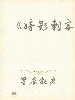 《暗影刺客