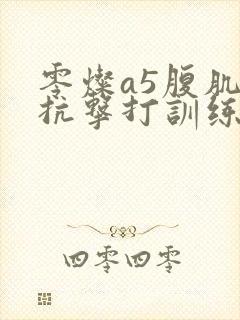 零灿a5腹肌男抗击打训练