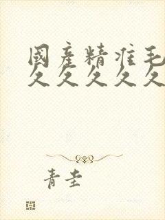 国产精准毛片久久久久久久av
