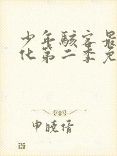 少年骇客最终进化第二季免费观看封面