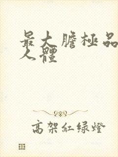 最大胆极品欧美人体封面