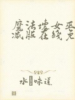 魔法坏女巫未删减版在线免费放封面