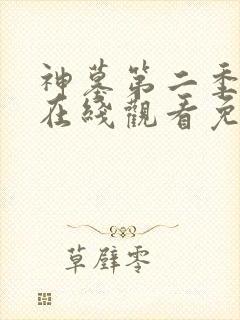 神墓第二季高清在线观看免费完整版