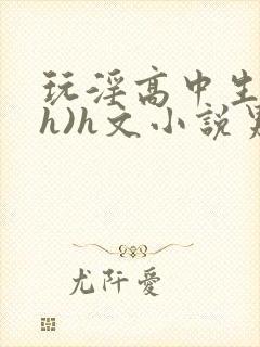 玩淫高中生(高h)h文小说男男封面