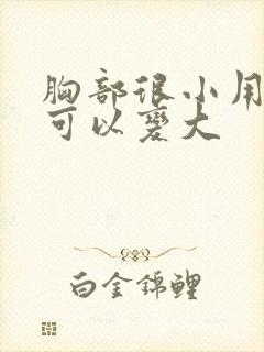 胸部很小用什么可以变大