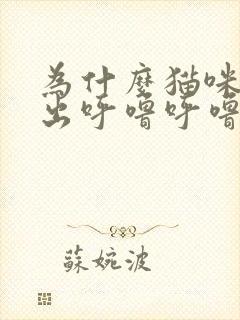 为什么猫咪会发出呼噜呼噜的声音