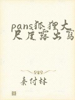 pans狐狸大尺度露出写真视频