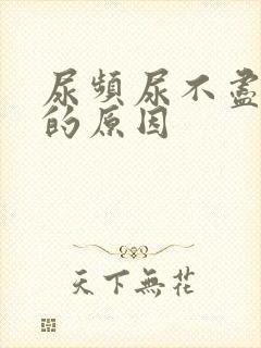 尿频尿不尽尿痛的原因