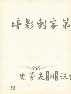 暗影刺客第4季