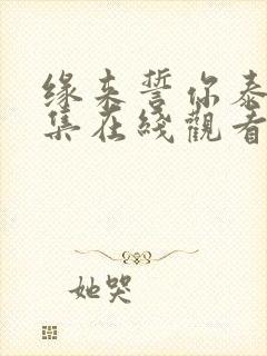 缘来誓你泰剧全集在线观看