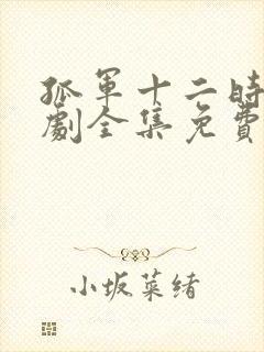 孤军十二时电视剧全集免费播放高清