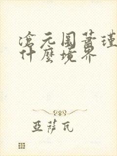 沧元图萧瑾瑜是什么境界