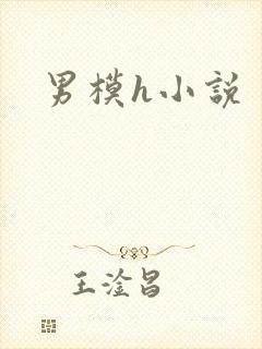 男模h小说