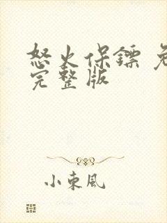 怒火保镖 免费完整版