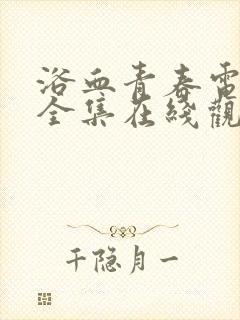 浴血青春电视剧全集在线观看封面