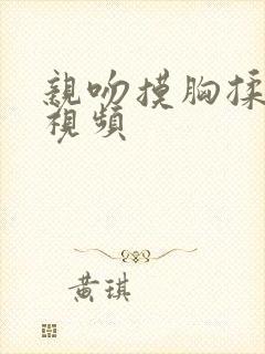 亲吻摸胸揉胸的视频