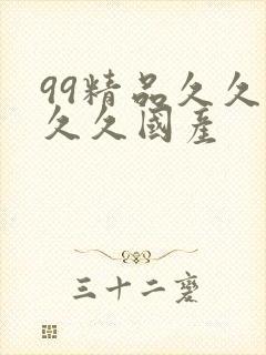 99精品久久久久久国产