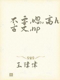 不要,嗯,高h古文,np