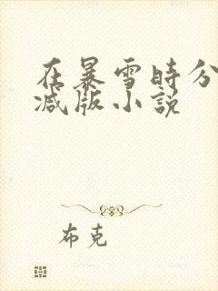 在暴雪时分无删减版小说