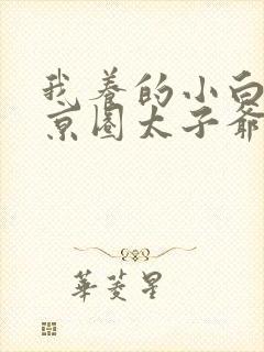 我养的小白脸是京圈太子爷演员