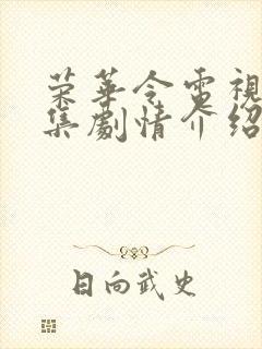 荣华令电视剧分集剧情介绍