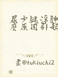尿少腿浮肿是什么原因引起的封面
