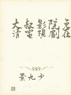 大叔影院免费高清电视剧在线观看