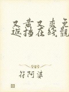 又黄又爽免费无遮挡在线观看