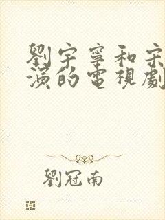 刘宇宁和宋祖儿演的电视剧封面