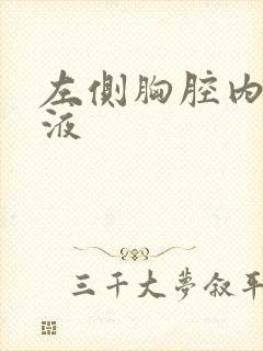 左侧胸腔内见积液