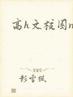 高h文校园np