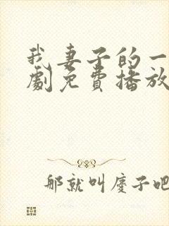 我妻子的一切韩剧免费播放
