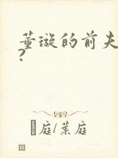 董璇的前夫是谁?