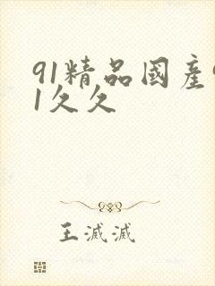 91精品国产91久久