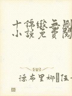 十锦缎无删原著小说免费阅读