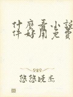 什么看小说的软件好用免费无广告