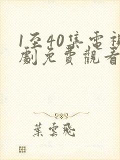 1至40集电视剧免费观看封面