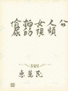 偷拍女人公厕尿尿的视频