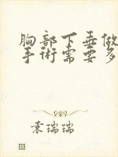 胸部下垂做提升手术需要多少钱