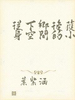 从下乡后获得随身空间的小说
