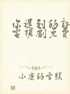 你迟到的许多年电视剧免费全集