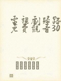 电视剧归路全集免费观看30集完整版