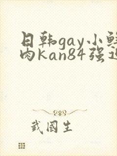 日韩gay小鲜肉kan84强迫