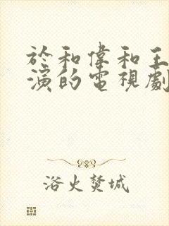 于和伟和王丽坤演的电视剧